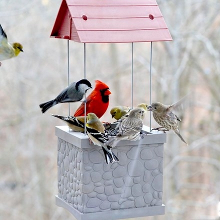 Carlisle Country Living Agway Infinity Wishing Well Bird Feeder