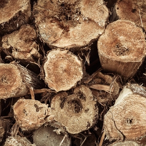 Horticultural Cedar Mulch 4 for $10