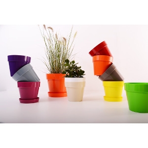 25% Off Decorative Pots