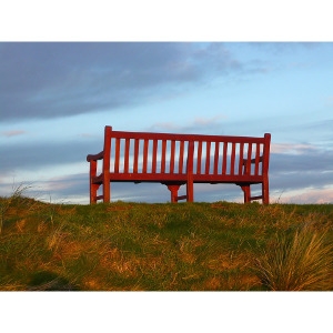 $30 Off Benches