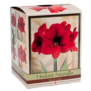 $2 Off Netherland Bulb® Amaryllis Bulb Gift Box
