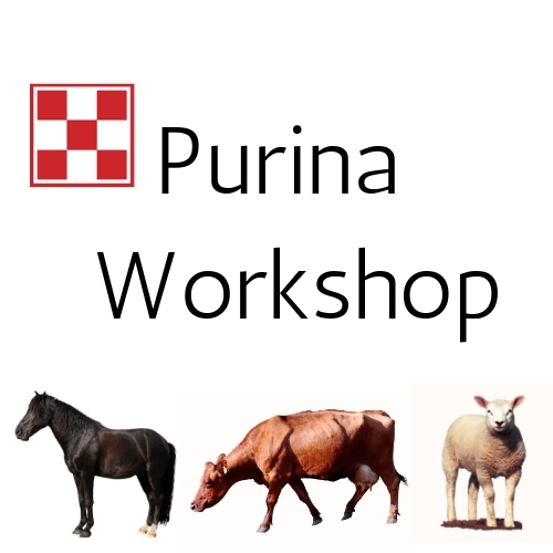 Purina Workshop
