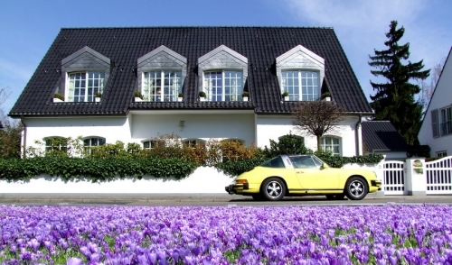 Make Your Lawn Stand Out This Spring