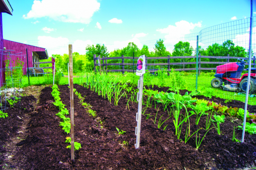 Gardening Seminar