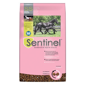 Blue Seal Sentinel Safe Start Horse Feed | Achille Agway - Brattleboro ...