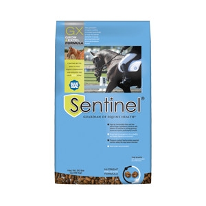 Blue Seal Sentinel Grow & Excel Horse Feed | Achille Agway ...