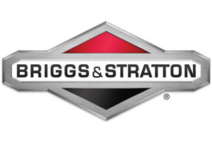 briggs