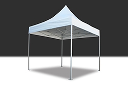 Tent vitabri 10'x10'