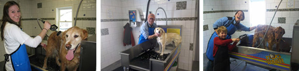 Dog Wash