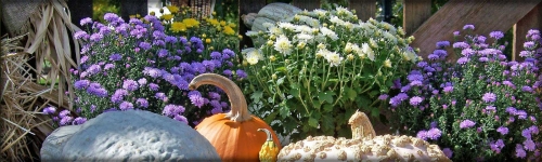 Garden Center Waynesboro VA, Waynesboro Landscaping ...