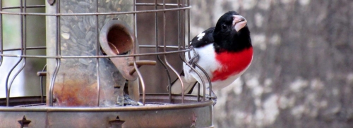 Home | Stony Brook Gardens | Pennington, NJ