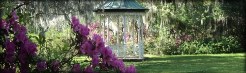 Garden Center Flowood MS, Home Goods Flowood MS, Jackson MS, Patio