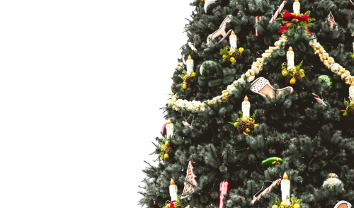Don't Just Ditch the Tree