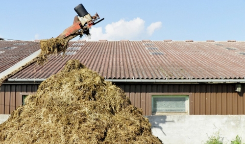 Is It Time To Fertilize?