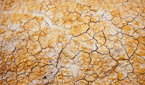 Keeping Lawns Green During Droughts