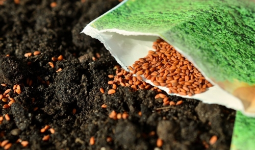 Seeding Your Lawn brought to you by the Scotts Company