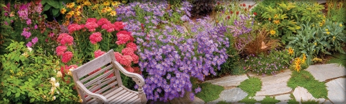 Let the Richness of Late Summer
