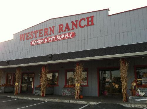 Store Front