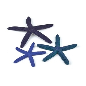 Blue Starfish Tank Décor Brookline Dog Grooming Blue Starfish Tank Décor