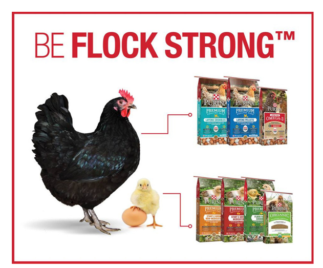 be flock strong