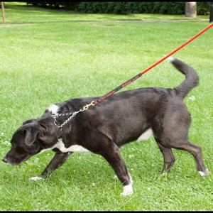 rok strap dog lead large