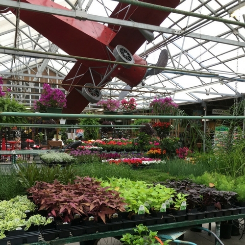 Check Out Our Gallery | Walnut Ridge Nursery and Garden Center