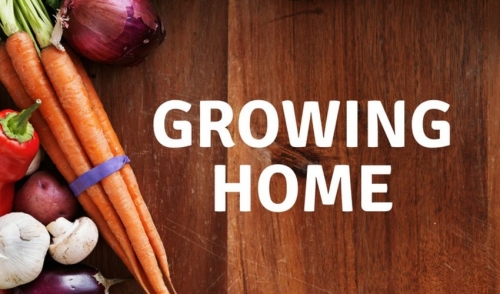 Growing Home Ep. 2 - Selecting and Understanding Grass Seed with Barry Green