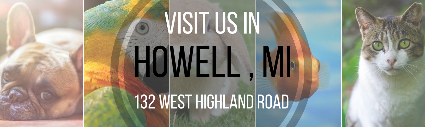 Home Howell MI, Pet Supplies, Tack, Pet Store, Grooming, Pet Treats