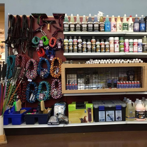 Show Supplies, Shampoo, Tack Champion Feed & Pet Supply, Delaware, OH 43015