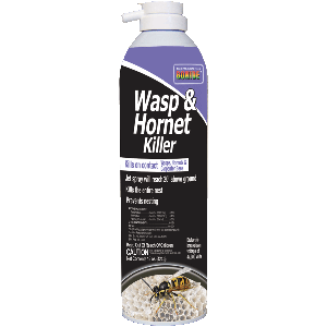 Bonide Wasp & Hornet 15 oz. Special