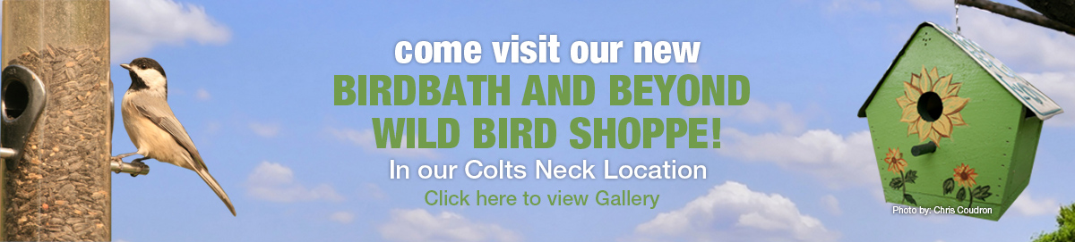 Visit Brocks Birdbath & Beyond banner for desktop