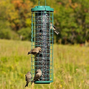 Perky Pet Fortress Squirrel Resistant Bird Feeder Knisley S