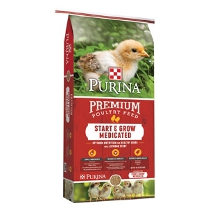 purina medicated shampoo