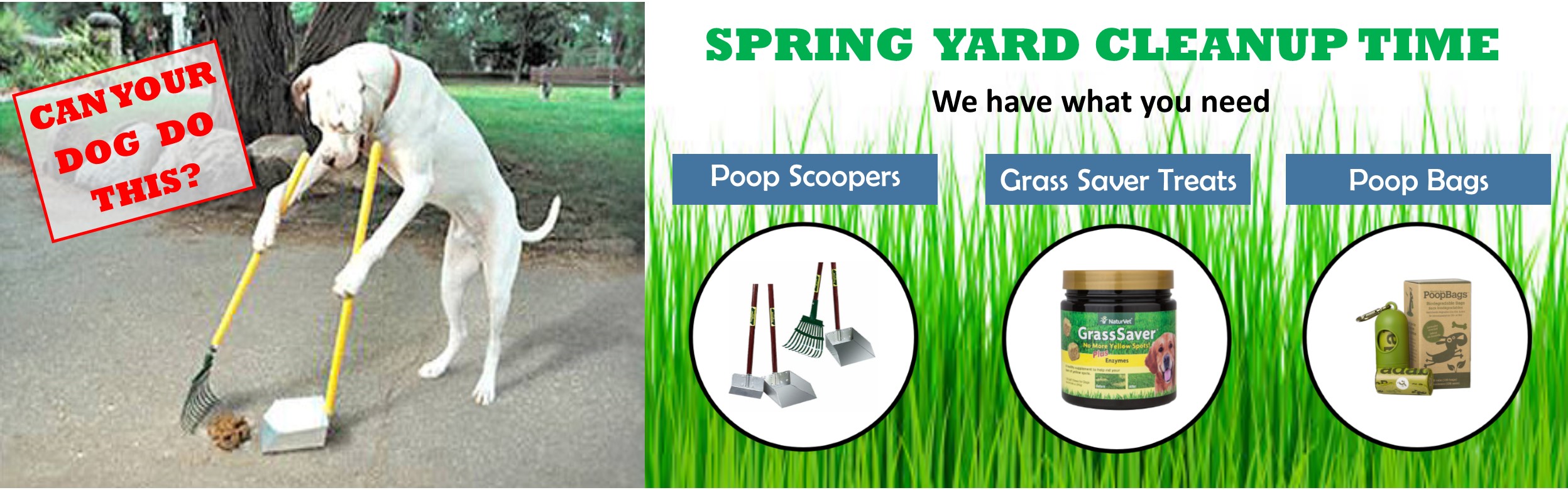 Pet Food, Pet Supplies, Reptile and Aquatic Supplies Huron Pet Supply, Ann Arbor, MI