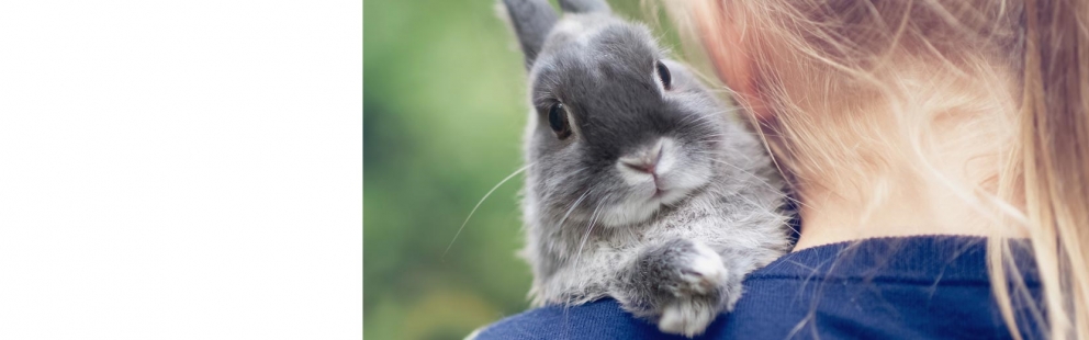 Pet Food, Pet Supplies, Reptile and Aquatic Supplies | Huron Pet Supply