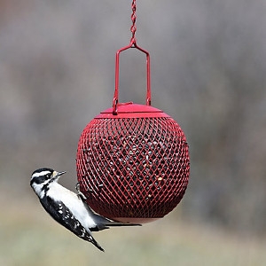 Perky Pet Red Seed Ball Wild Bird Feeder Delchester Feed Pet