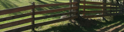 Good Fences Make Good Neighbors