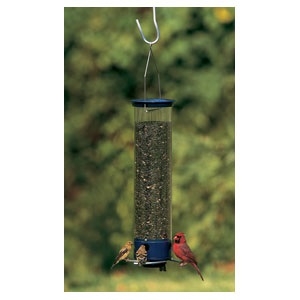 Yankee Whipper Squirrel Proof Bird Feeder Blue 21a Talmage