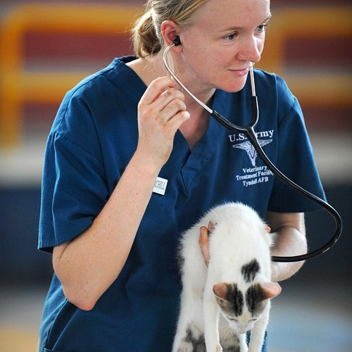 Browse Online View Our Product Catalog Talmage Farm Agway