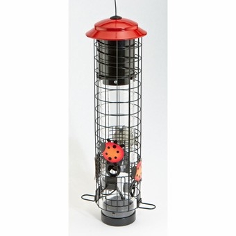 Audubon Ladybug Squirrel Resistant Tube Bird Feeder Talmage Farm