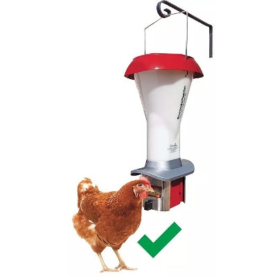 Pestoff Roamwild Chicken Feeder Talmage Farm Agway