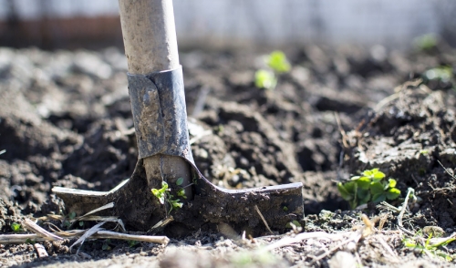 Most Popular Rental Equipment Rentals for Summer | Cottingham True