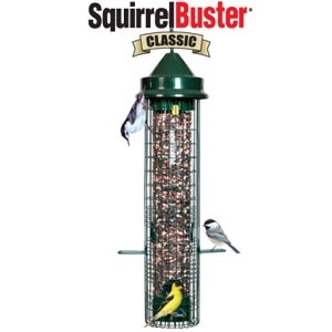 brome bird care squirrel buster plus bird feeder