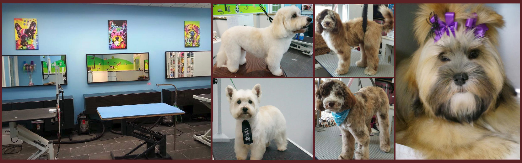 Canine Carousel Pet Supply & Salon Ashburn, Herndon, Pet Retail