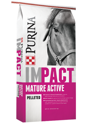 Purina® Impact® 10% Pelleted Horse Feed | Garoppo's Feed and Pet Supply