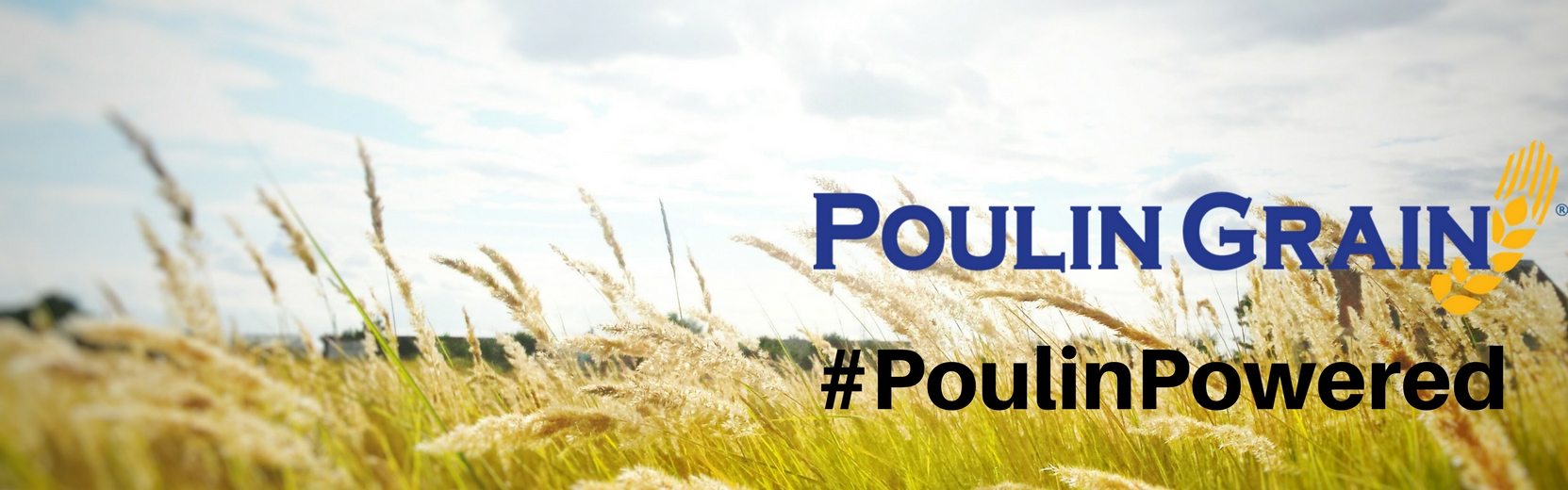 Connecticut Feed Store, Equine & Livestock Supplies, Tack Shop, Pet