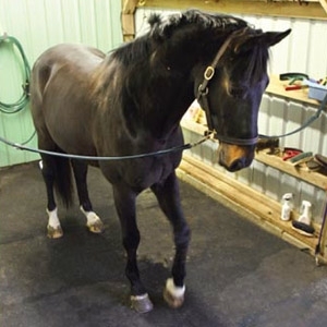 Tenderfoot Stall Mat Lakeside Feed