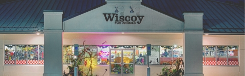 Welcome To Wiscoy