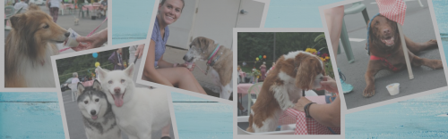 Annual Ice Cream Social: Every Friday in August!