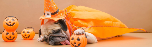 Tricks for Treats: October 30th